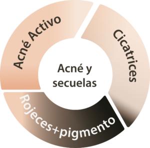 ciclo-acne