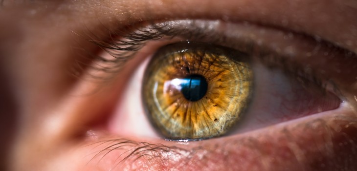 ¿Cómo se soluciona un ectropión palpebral?
