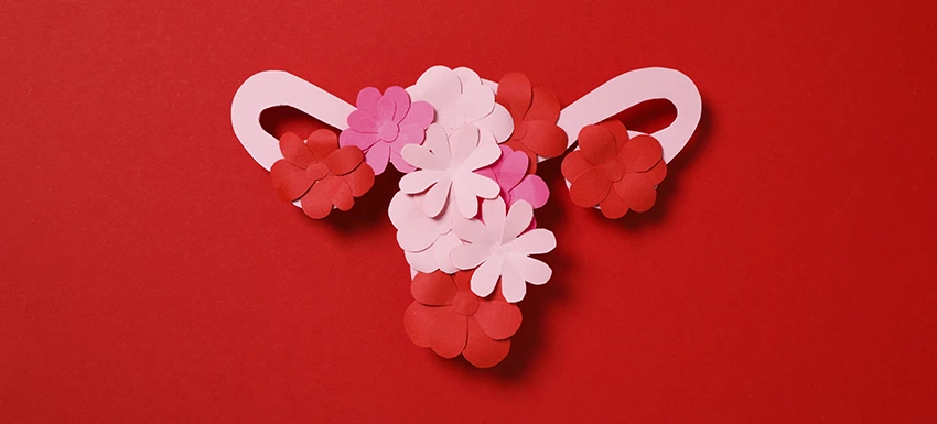 ¿Qué es la atrofia vaginal? Causas y Síntomas